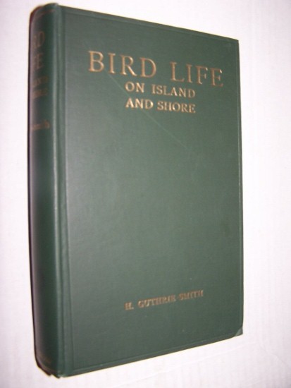 Image for BIRD LIFE ON ISLAND AND SHORE