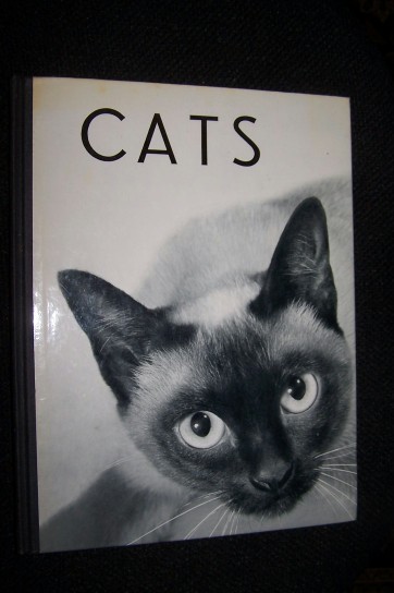 Image for CATS
