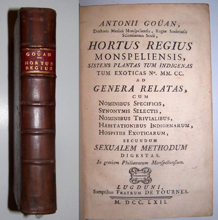 HORTUS REGIUS MONSPELIENSIS, SISTENS PLANTAS TUM INDIGENAS TUM EXOTICAS... Image for HORTUS REGIUS MONSPELIENSIS, SISTENS PLANTAS TUM INDIGENAS TUM EXOTICAS...