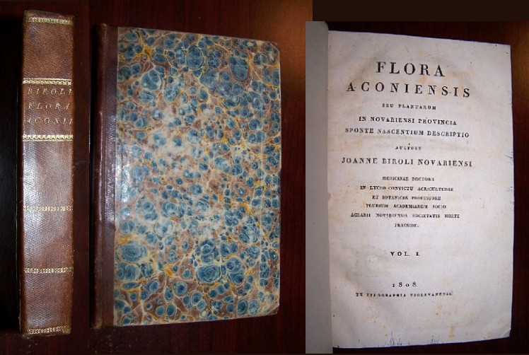 Image for FLORA ACONIENSIS sue Plantarum in Novariensi Provincia sponte nascentium descriptio.