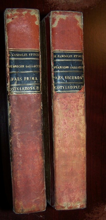 Image for BOTANICON GALLICUM seu Synopsis Plantarum in Flora Gallica descriptarum - Two Volume Set