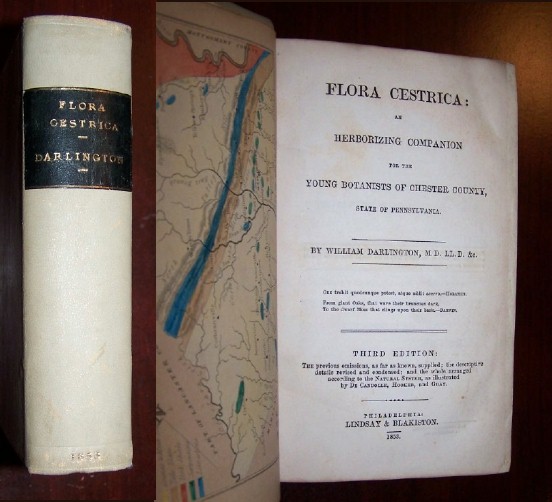 Image for FLORA CESTRICA - An Herborizing Companion for the Young Botanists of Chester County