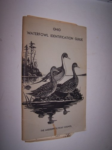 Image for Ohio Waterfowl Identification Guide