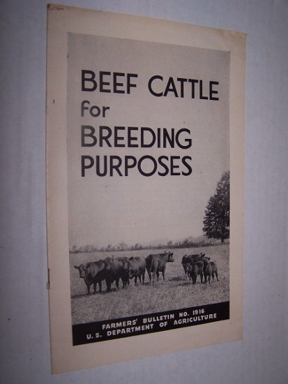 Image for BEEF CATTLE FOR BREEDING PURPOSES