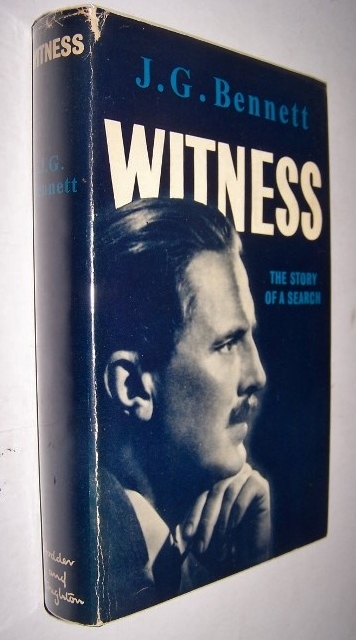 Image for WITNESS - The Story of a Search