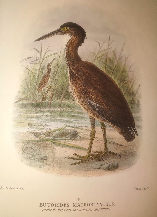 The Birds of Australia -- Volume III With 74 hand-coloured plates