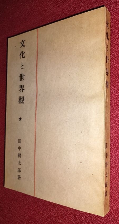 CULTURE AND WORLD VIEW [Text in Japanese]