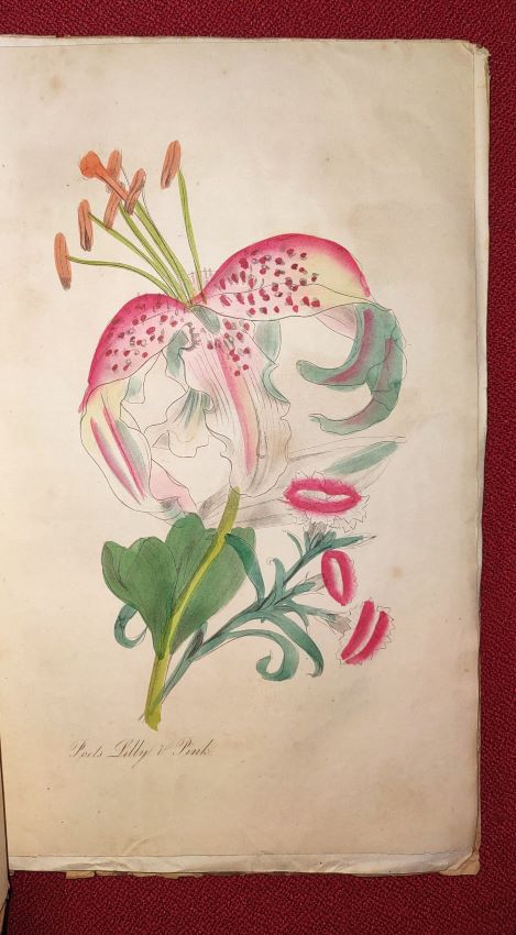 The Ladies' Wreath and Parlor Annual - July 1855