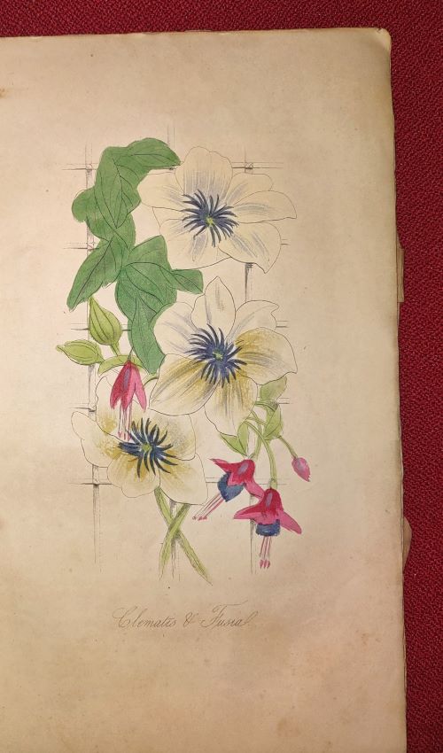 The Ladies' Wreath and Parlor Annual - April 1855