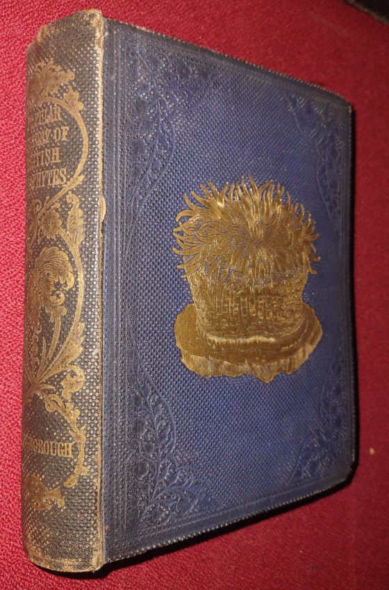 A Popular History Of British Zoophytes Or Corallines
