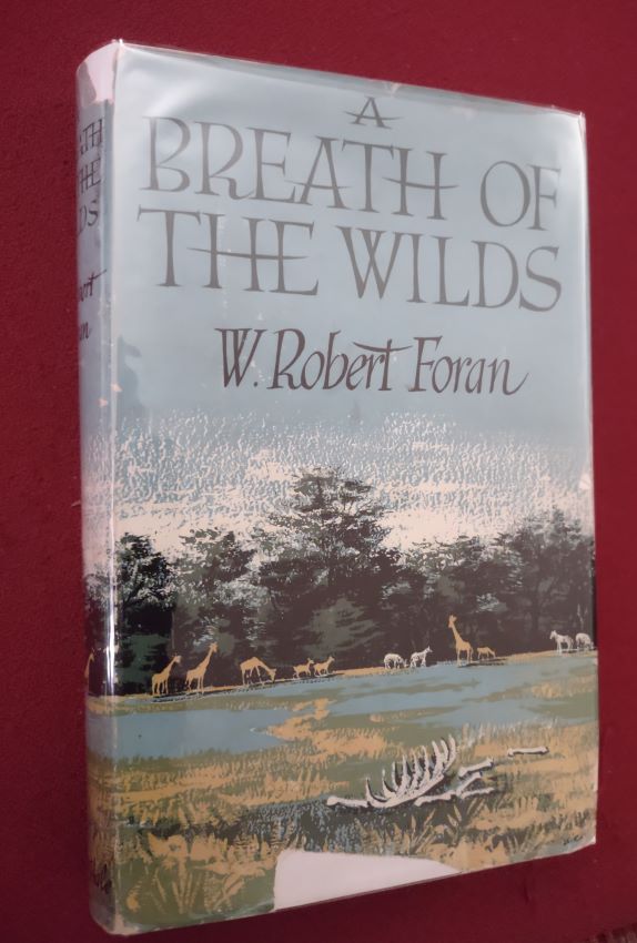 A BREATH OF THE WILDS