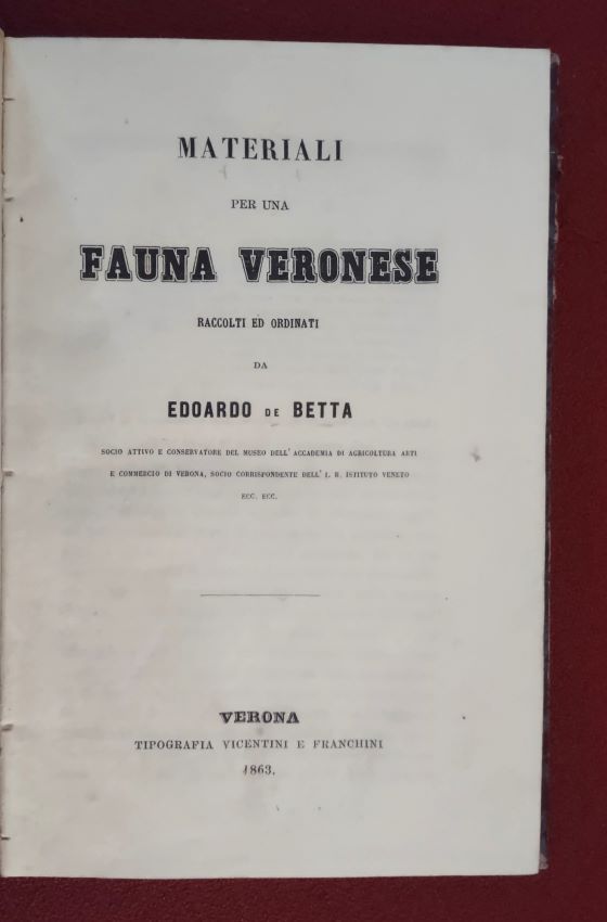 Image for Materiali per una fauna Veronese Raccolti ed ordinati Materiali per una fauna Veronese Raccolti ed ordinati