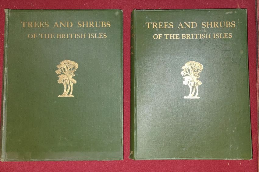 Trees & Shrubs of the British Isles -- Native & Acclimatised [Two Volume Set]