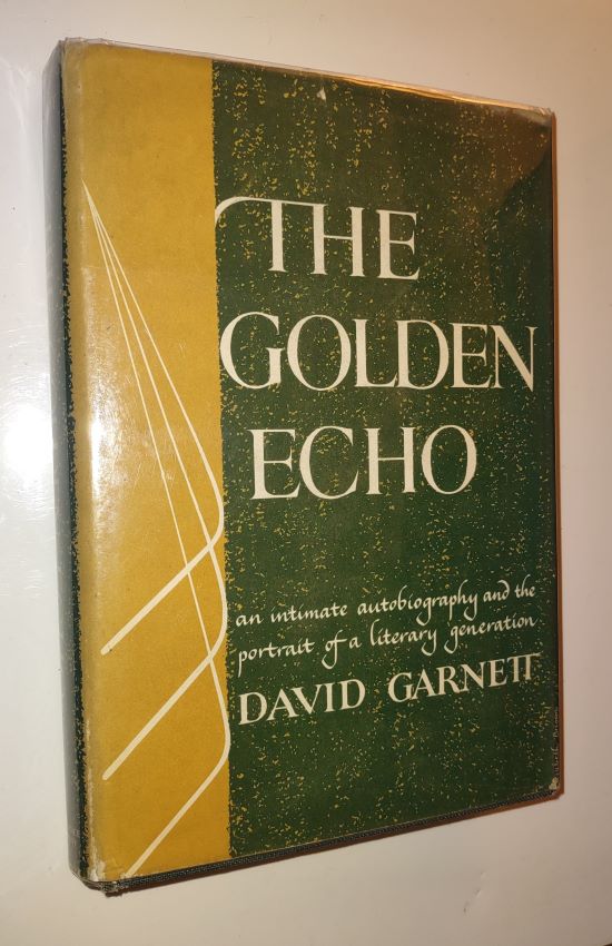 Image for THE GOLDEN ECHO THE GOLDEN ECHO